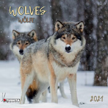 Kalenteri 2027 Wolves