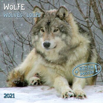 Kalenteri 2027 Wolves