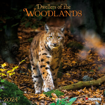 Kalenteri 2024 Woodlands/ Bewohner des Waldes