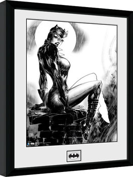Kehystetty juliste DC Comics - Cat Woman