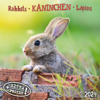 Koledar 2027 Rabbits
