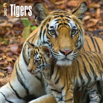 Koledar 2027 Tigers