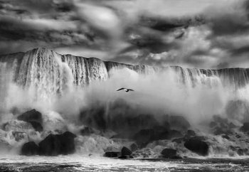 Beauty Unbound! Valokuvatapetti