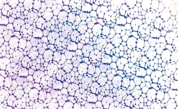 Bubbles Abstract Valokuvatapetti