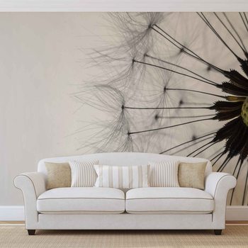 Dandelion Valokuvatapetti