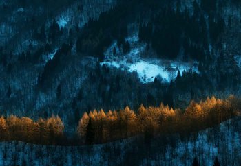 Defensive Line Valokuvatapetti