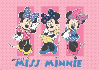Disney Minnie Mouse Valokuvatapetti