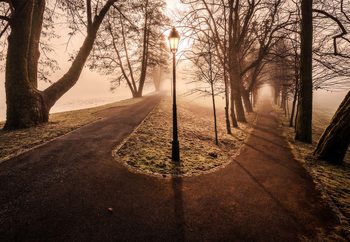 Double Path Valokuvatapetti