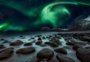 Dragon'S Fly Valokuvatapetti