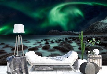 Dragon'S Fly Valokuvatapetti