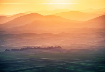 Dreamy Morning Valokuvatapetti