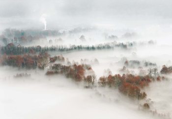 Factory Fog Valokuvatapetti