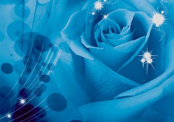 Flower Rose Valokuvatapetti