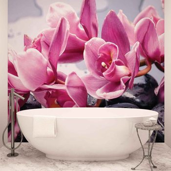 Flowers Orchids Stones Zen Valokuvatapetti