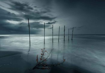 Forever Blue Valokuvatapetti