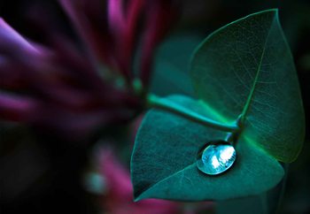 In Good Hands Valokuvatapetti