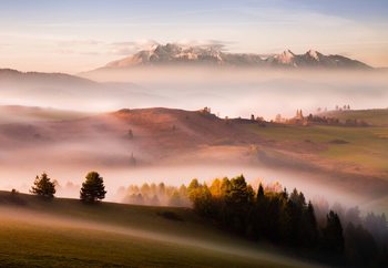 Just A Silence Valokuvatapetti