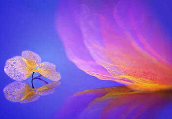 Leaf Message Valokuvatapetti