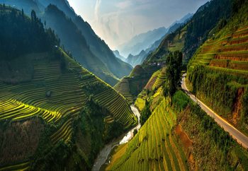Mu Cang Chai Valokuvatapetti