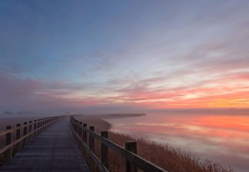 Path To The Unknown Valokuvatapetti