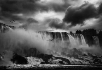 Powerful Splendor Valokuvatapetti