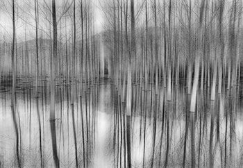 Reflections Valokuvatapetti