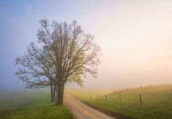 Silence Of Days Valokuvatapetti
