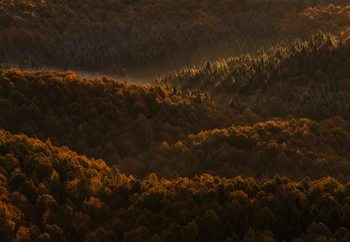 Small Details Makes The Difference Valokuvatapetti