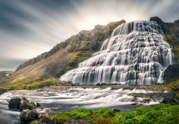 Timeless Valokuvatapetti