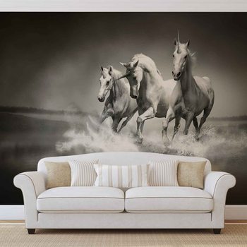 Unicorns Horses Black White Valokuvatapetti