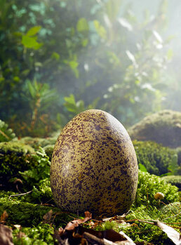 Sticker Large Egg in Woods Setting