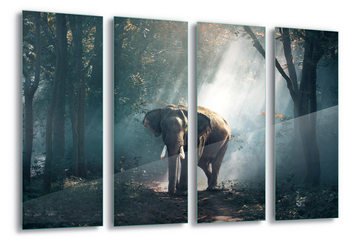 Lasitaulu  Elephant Path