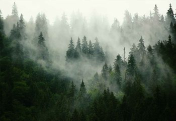 Lasitaulu Misty Forest