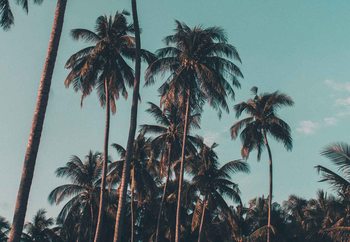 Lasitaulu Retro Palms