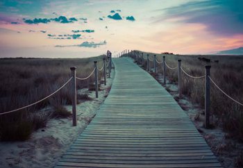 Lasitaulu The Path To The A New Day