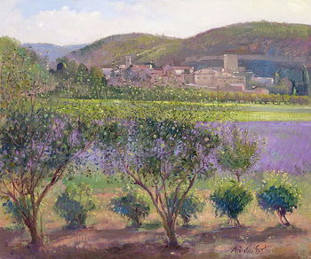 Принти на полотні Lavender Seen Through Quince Trees, Monclus