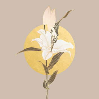 Μπλουζάκι Lily flower linear drawing in neutral