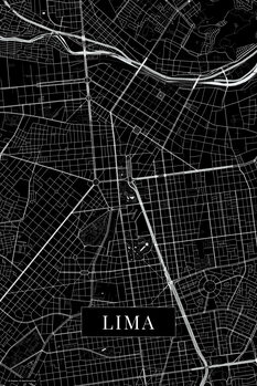 Принти на полотні Lima black