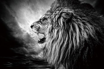 Γυάλινη τέχνη Lion - Lion at Night