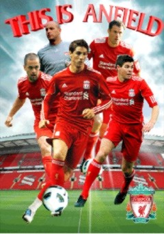 3D Αφίσα Liverpool - players 2010