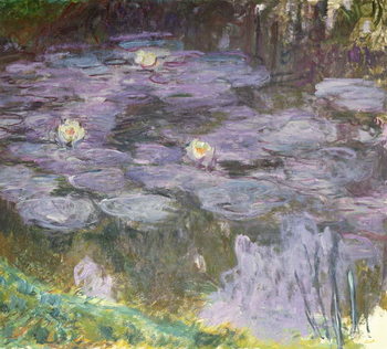 Naljepnica Lopoči
