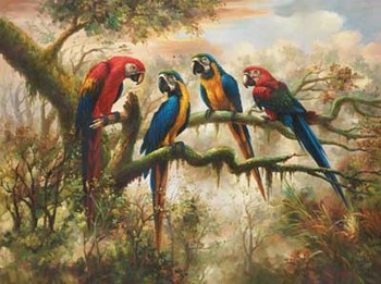 Art Print MACAW MORNING