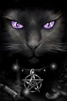 Framed Poster Magical cat
