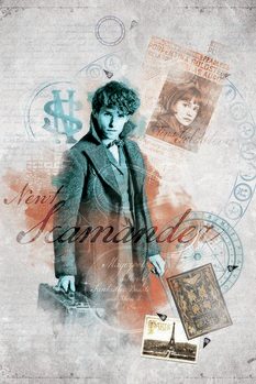 Stenska nalepka Magične živali - Newt Scamander