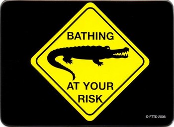 AT YOUR RISK - bathing Magnet