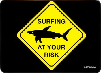 AT YOUR RISK - surfing Magnet