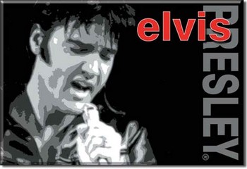 ELVIS PRESLEY Magnet