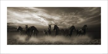 Art Print Malcolm Sanders - Wild Stampede
