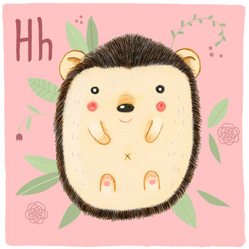 Illustration Alphabet - Hedgehog