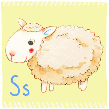 Illustration Alphabet - Sheep